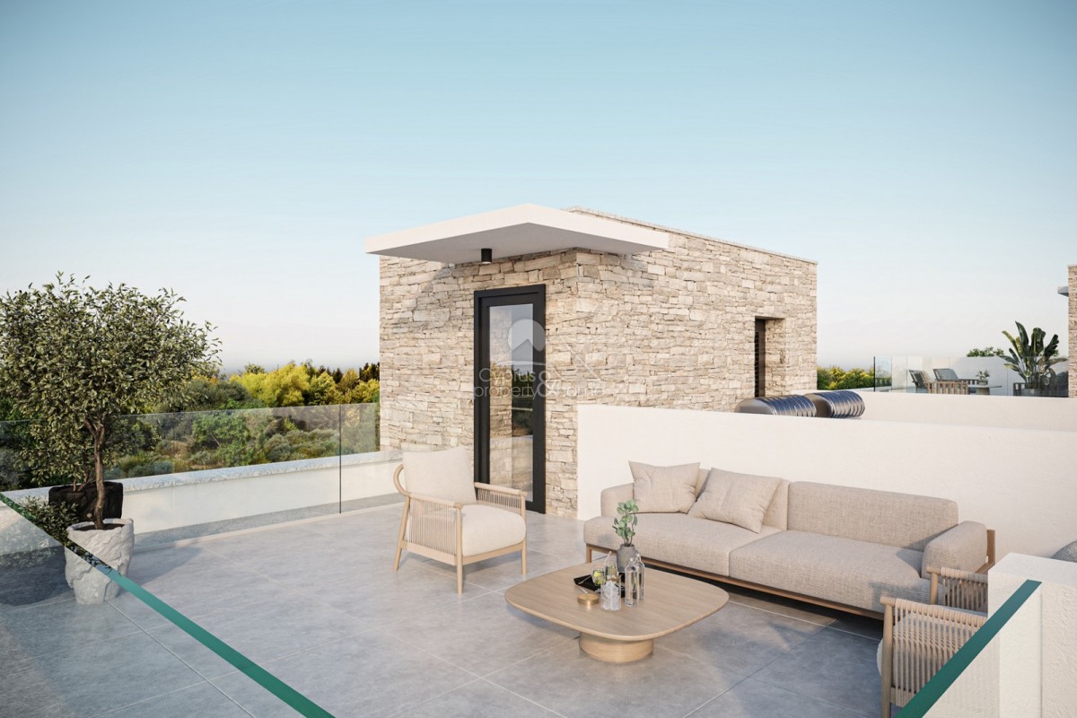 Villa in Agia Marinouda - Image 3